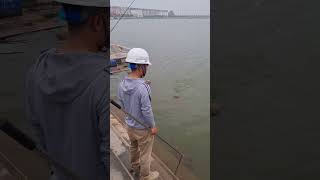 Câu cá trám đen - Câu cá trám đen bằng cần tay - Hồng Ân Fishing Tv #shots