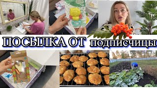 VLOG: ПОСЫЛКА от подписчика/довез НЕЗНАКОМЕЦ/Собираем УРОЖАЙ/ЯБЛОЧНОЕ печенье