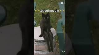 Skiddi Noodle😊