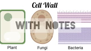 Cell Biology: Structure and Function of Cell wall in Plants, Bacteria and Fungi |IIT JAM| GATE |NEET