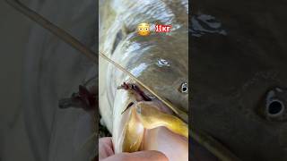 Рыбаки объясните как так бывает Fishermen, explain how this happens.? #fishing #zelimfishing