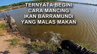 Trik Jitu Mancing Barramundi yang Malas Makan!