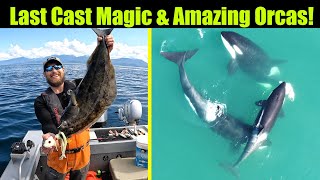 Last Cast Magic & Amazing Orcas! Alaskan Halibut Fishing - Juneau, Alaska! JULY 2023