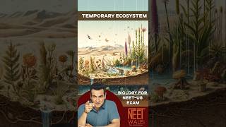 Temporary Ecosystem Structure and Function | Ecology | class 12th Biology For NEET | #neet #biology