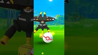 Finally!! Caught ✨Shiny Tapu Bulu✨ after 38 raids in Pokémon go🤩 #shorts #pokemongo #youtubeshorts