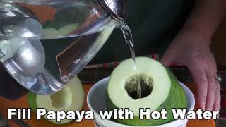 Gout Problems?  Drink Green Papaya Tea