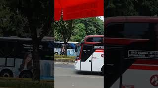 Bis Primajasa Jurusan Jakarta Garut#shorts