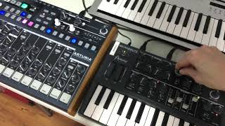 Short 303-ish acid loop on the MicroBrute