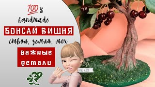 Ствол дерева земля мох.  The bonsai tree. Бонсай