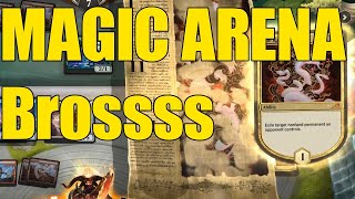 Magic Arena Bros