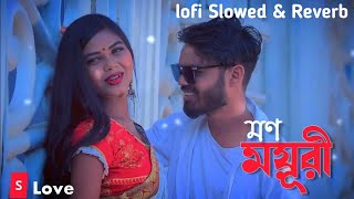 Mon Moyuri | মন ময়ুরী | Purulia New Lofi Song 2023 | Purulia New Romantic Song | Jhumur Rani