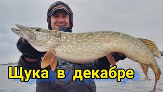 Щука🐟 в декабре❄️ и немного окуня🐠