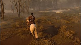 Ghost of Tsushima un beau combat