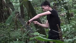 How to trap an animal climbing on a tree branch - Wilderness Alone - Episode 5