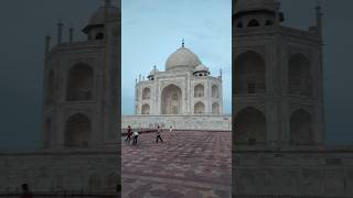 Taj Mahal Agra #shortsfeed#tajmahal#agra#youtubeshorts#viralshorts