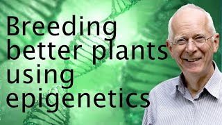 The epigenetics of plant breeding - David Baulcombe 🧬🌱