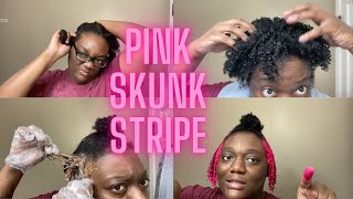 Skunk Stripe Using Adore Pink Blush And Cotton Candy | Coloring Hair Jet Black