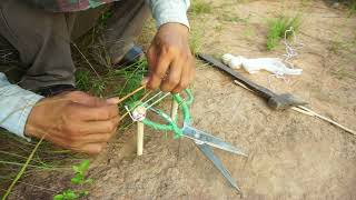 Easy Quail Bird Trap Make From Scissors & Wood