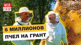 ПЧЕЛЫ КРУПНЫМ ПЛАНОМ | ВЕСНА НА СЕМЕЙНОЙ ПАСЕКЕ | РОЕНИЕ, ОБНОЖКА, МАЙСКИЙ МЕД | АГРОТУРИЗМ НА ГРАНТ