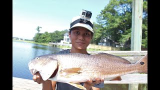 26.5” redfish SUP fishing on Oak Island NC (Epic fail video)