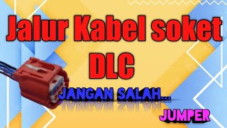 Jalur kabel soket DLC Honda Vario 125/150