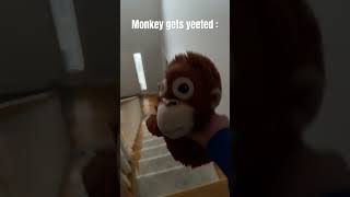 Monkey gets yeeted Part 1 #funny #meme #nirvana #ohio #kurtcobain