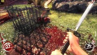 Shadow Warrior 60FPS Gameplay by Splendor Bean : Tôi đã khóc khi thấy nghị lực sống của anh ấy !