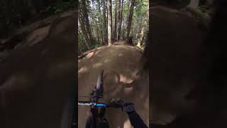 Whistler Bike Park / Fade to Black