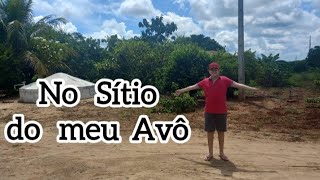 📍 Visitando o Sítio do meu Avô em Ouro Velho PB