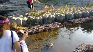 walking near the river on summer