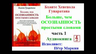 Бханте Хенепола Гунаратана  Больше, чем осознанность простыми словами  Часть 1 Аудиокнига