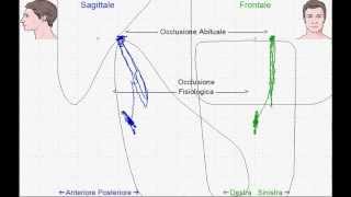 Occlusione fisiologica kinesiografia.avi