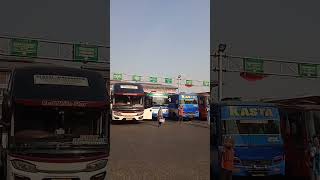 Bus Terminal Bekasi    #telolet #busmania #bus #buses #asian #2024 #shorts