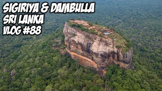 Sigiriya & Dambulla tour+Sri Lankan Police vs Drone :P | Travel Vlog #88