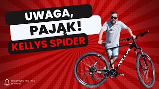 Uwaga na pająka w akcji! Kellys SPIDER 50