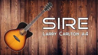 Sire Larry Carlton A4 Acoustic Guitar