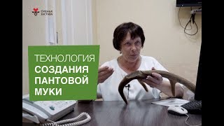 Технология создания пантовой муки и слайсов l Оленья Застава