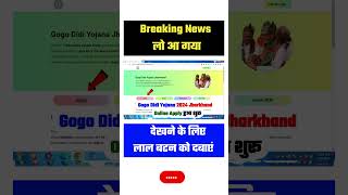 Good News 📢 Gogo Didi Yojana Jharkhand✅ How to Apply Gogo Didi Yojana Form 2024 Online✅ Link Chalu✅