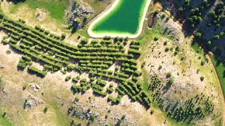 Shouf Biosphere Reserve(Lebanon) | محمية أرز الشوف - لبنان