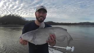 Catfishing in Heavy Current!!!