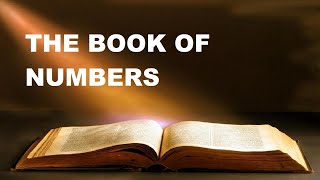 Alignment with God s Order | 7 Practical Applications of Numbers 2 in the Christian Life: Organized