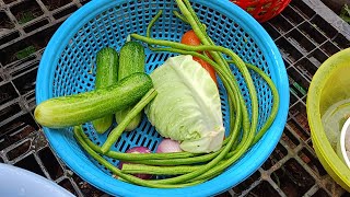 Cook Fresh Vegetable with pork Delicious Food [Countryside Food]