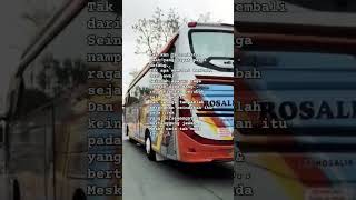 story bus rosalia indah dilintasan sumatera#shorts#bus#buslover#rosaliaindah#viral