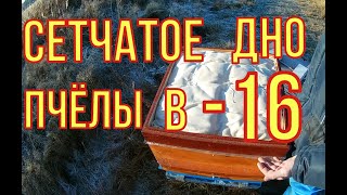 Зимовка на сетчатом дне. Состояние пчёл в мороз.