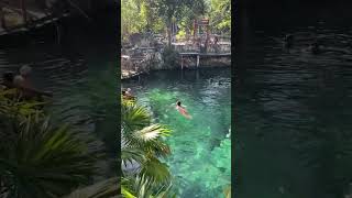 Lovely Swim 🇲🇽💦 #mexico #cenotes #water #travel