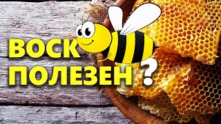 Полезные свойства пчелиного воска и применение для здоровья