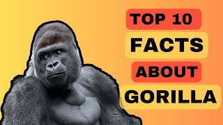 Gorilla Facts: 10 Things You Didn't Know