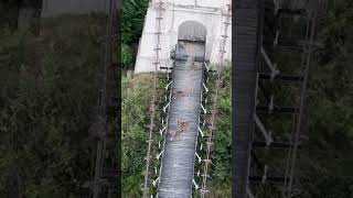 Crossing Bridge IoK & Azad Kashmir #shortsvideo #trending