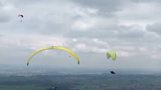 Skyman Crossalps am Buchenberg Paragliding