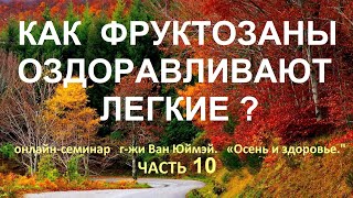 10.Как  фруктозаны оздоравливают легкие?